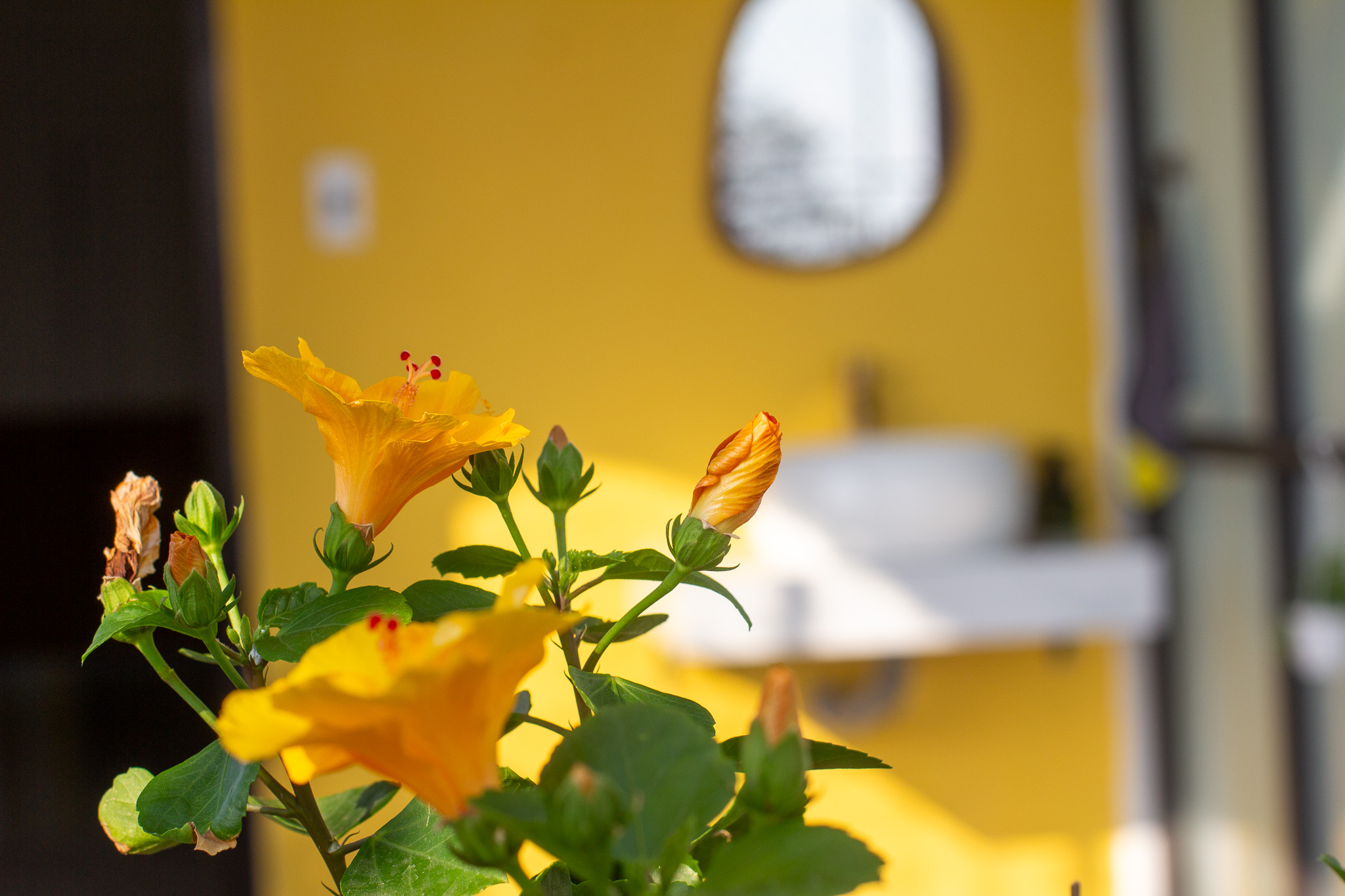 Mayhome Homestay
